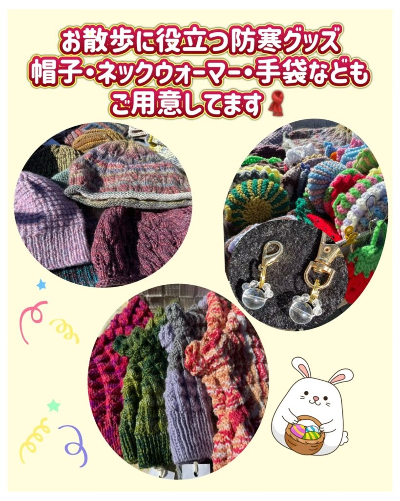 イベントのお知らせ】11月23日ゆるっとまるっとパーク大作戦～わん